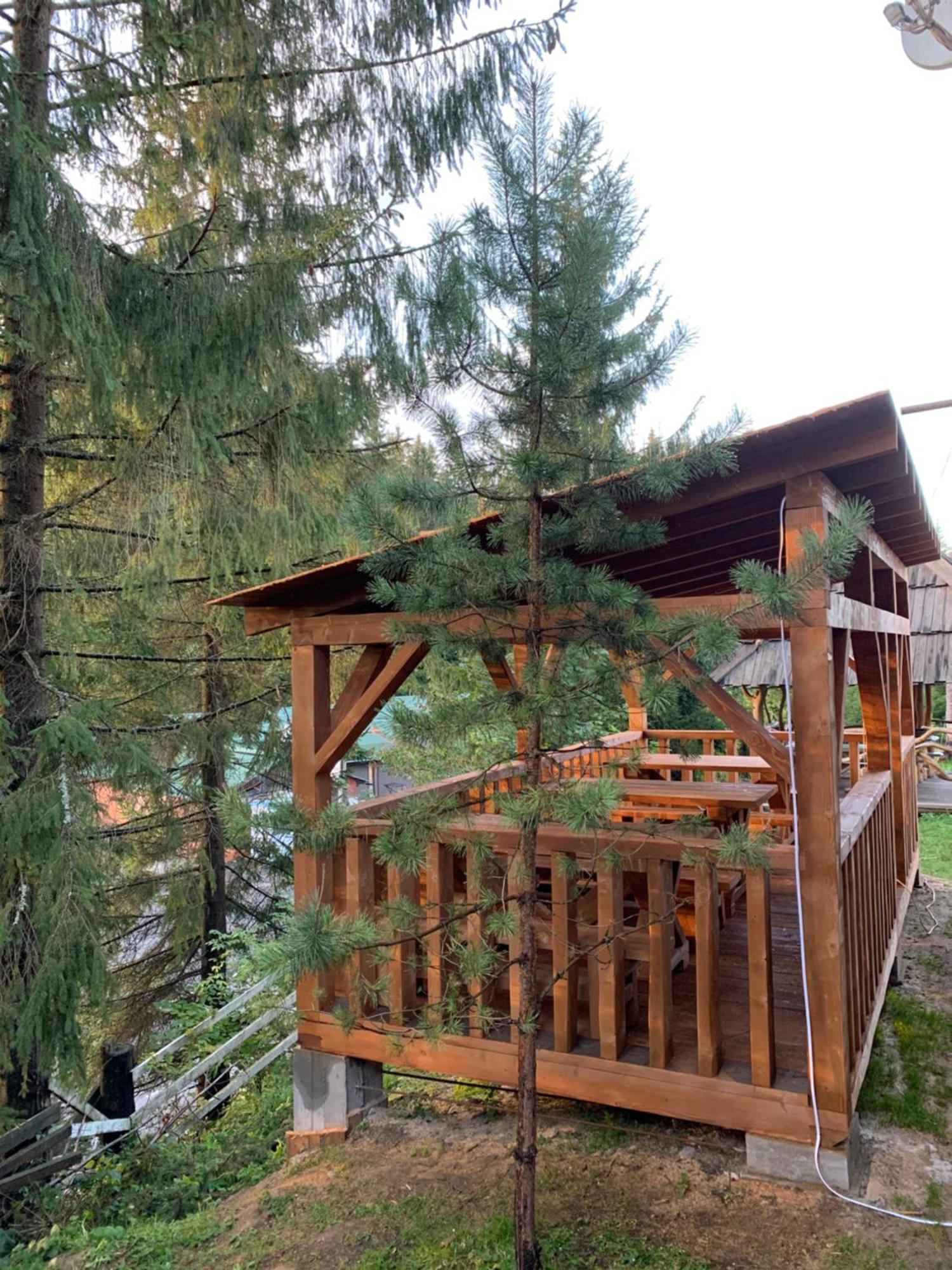Hotel Novoe Shale Iablunîțea Exterior foto